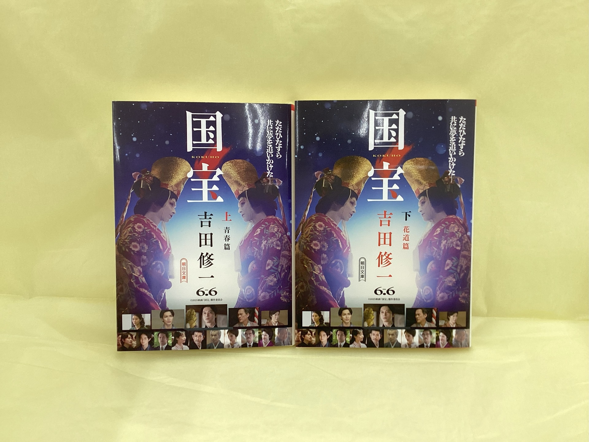 国宝 上・下(文庫)_吉田修一