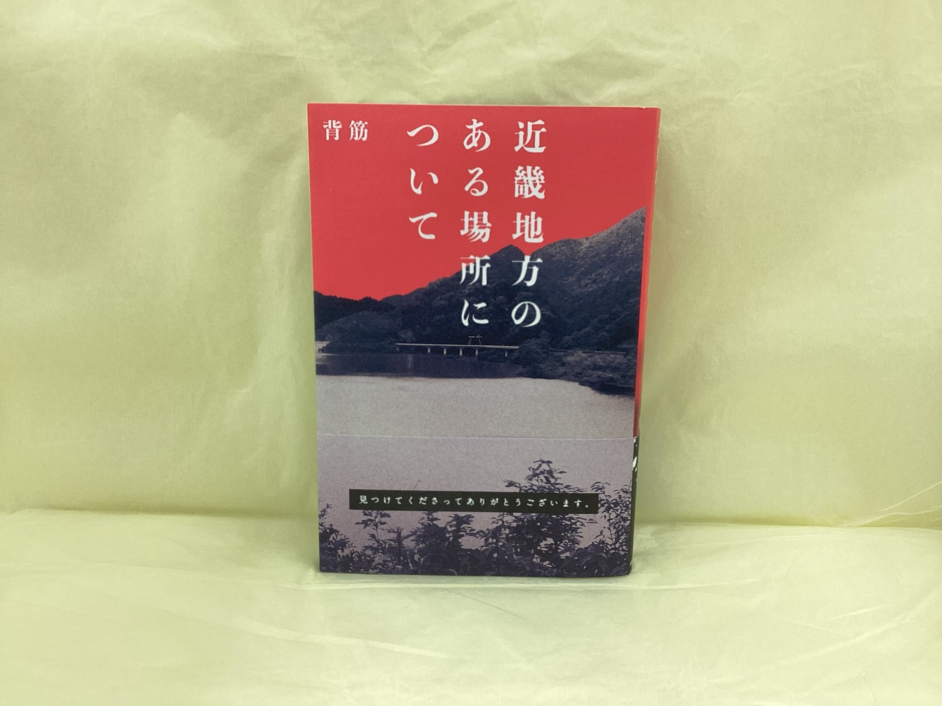 近畿地方のある場所について_背筋